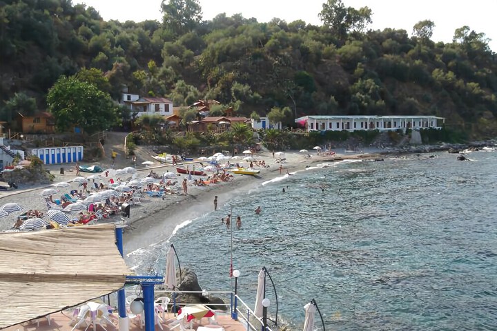 Photo 8