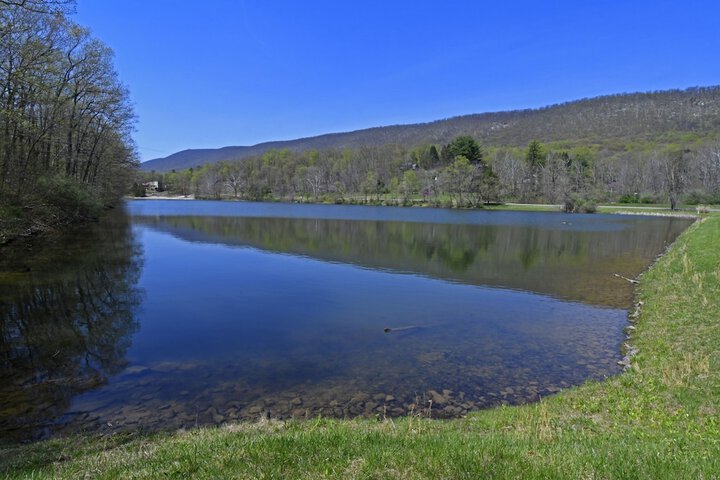 Property Grounds 35 of 38