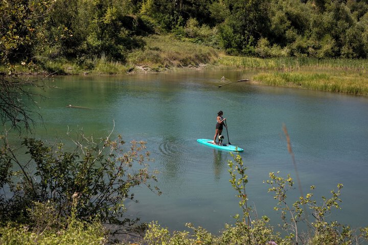 Pet Friendly 80 of 120