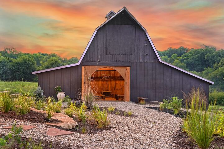 Wedding/Banquet 67 of 85