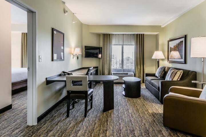 1 King Bed Studio Suite (2 of 6)