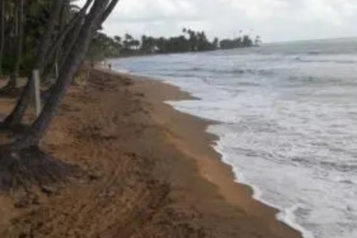 Beach 14 of 22