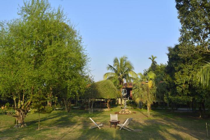 Photo 19