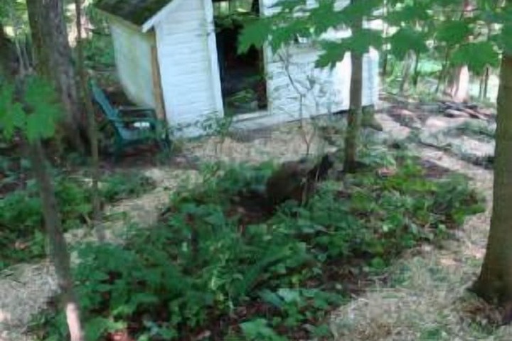 Property Grounds 18 of 22