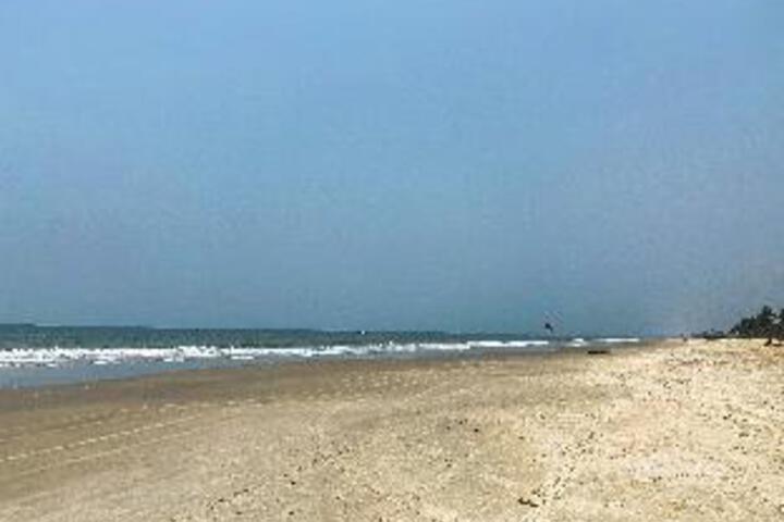 Beach 14 of 41