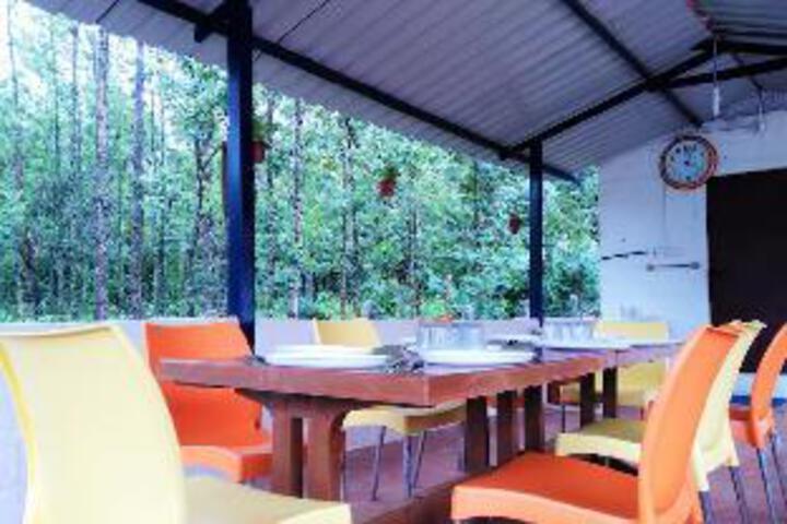 Silver Palm Retreat