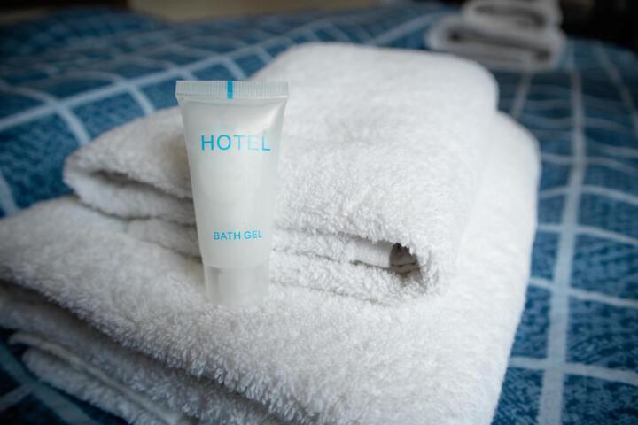 Hotel Salosi