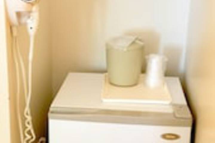 Mini-refrigerator