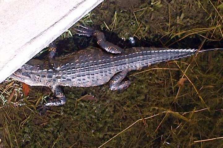 Property Grounds 16 of 18