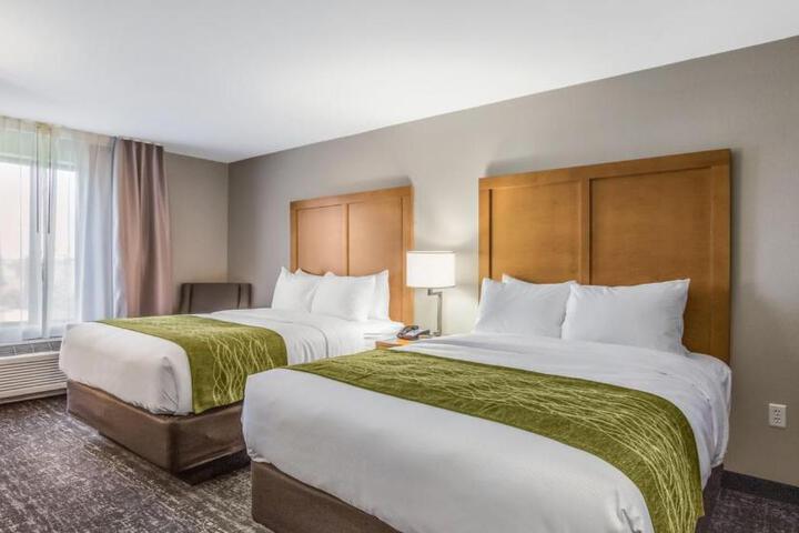 2 Queen Beds (1 of 15)
