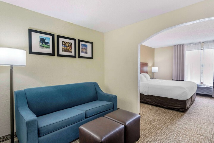 1 King Bed (6 of 9)