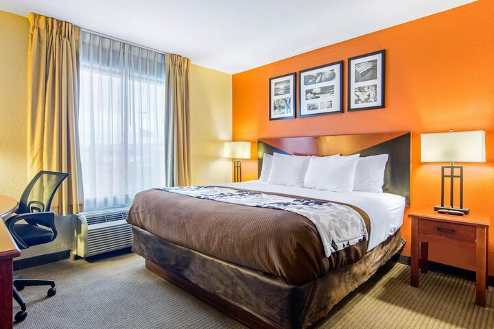 1 King Bed (6 of 15)