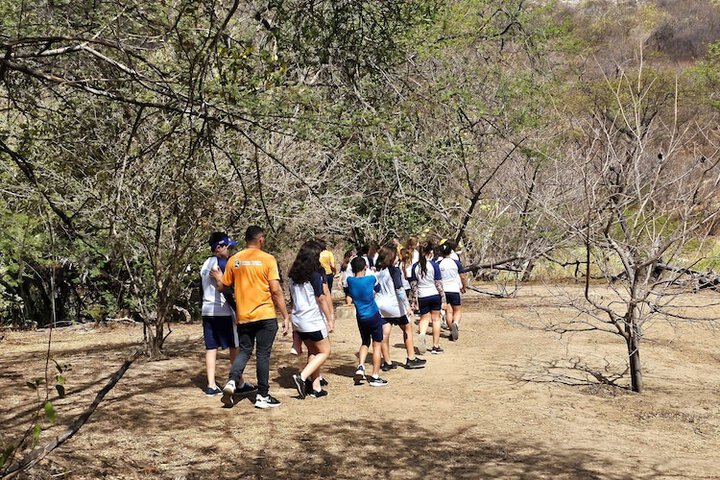 Outdoor Activities 8 of 14