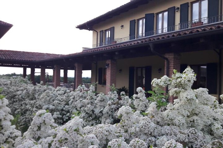 I VIGNETI DEL MANDORLO