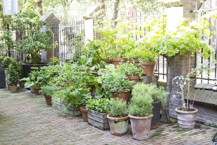 Terrace/Patio 61 of 64
