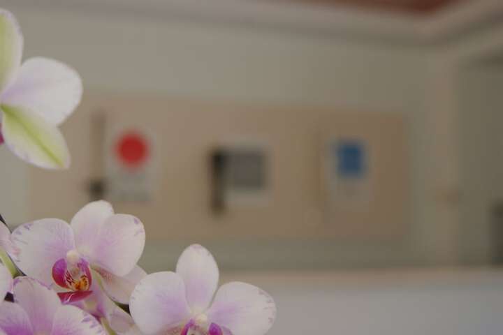 Meeting 28 of 42