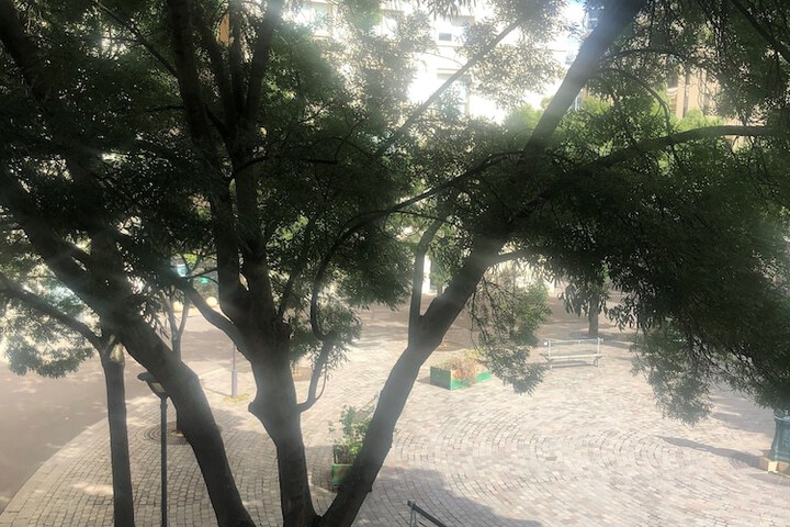 View from room