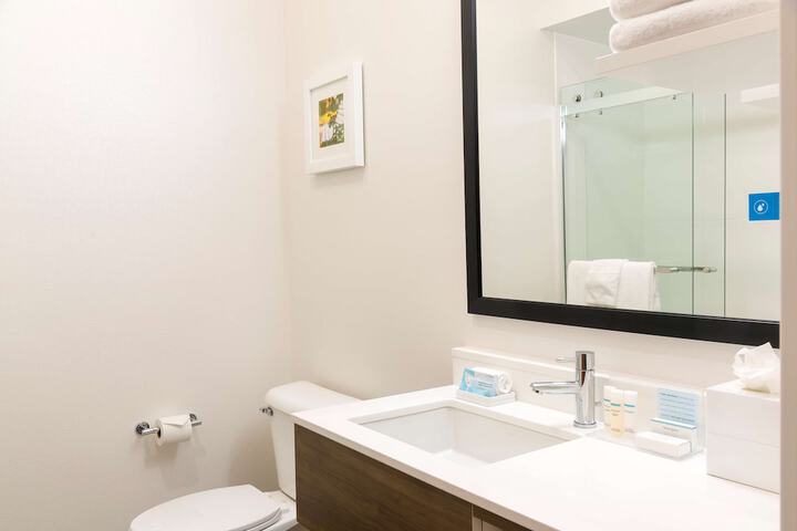 1 King Mobility Hearing Accessible Roll in Shower (22 of 24)