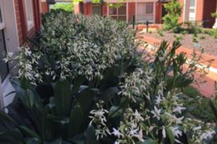 Hotel Exterior 9 of 38