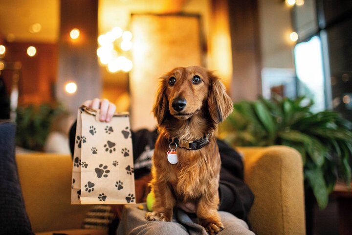Pet-friendly amenities