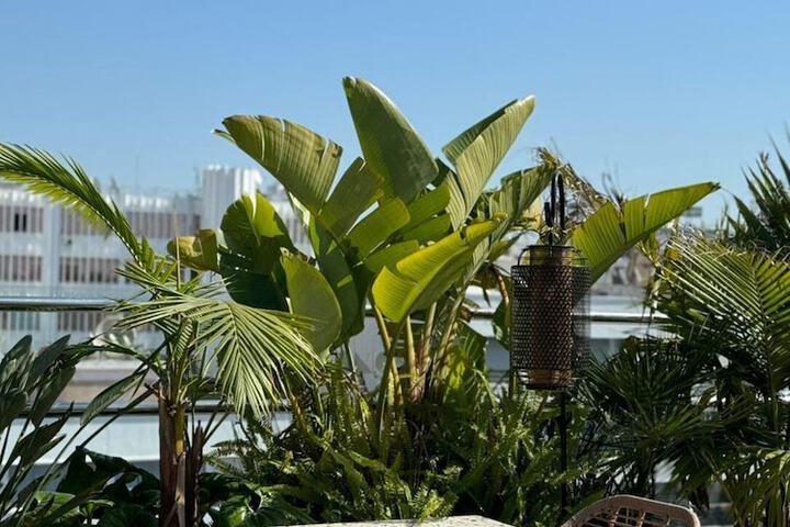 Terrace/Patio 68 of 83