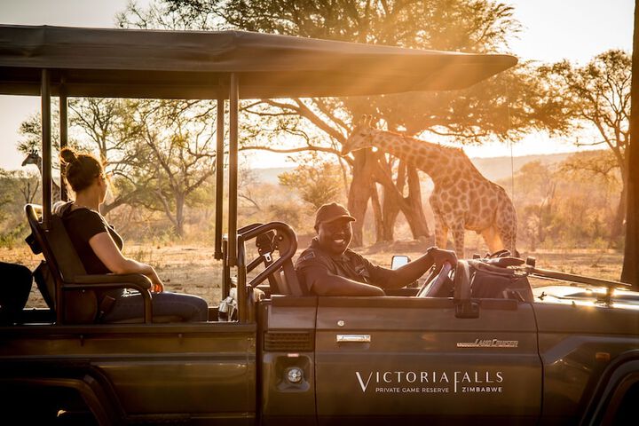 Game drive