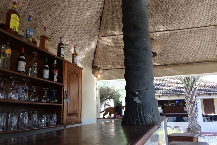Lounge 43 of 65