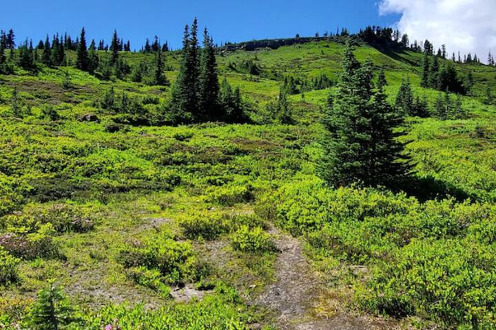 Outdoor Activities 23 of 40