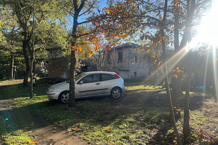 Property Grounds 50 of 85