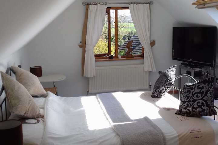Room 3 of 37