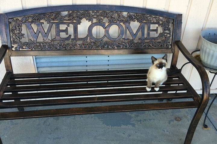 Property Grounds 34 of 44