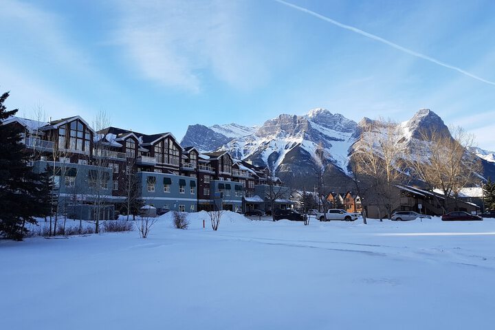 Property Grounds 18 of 31