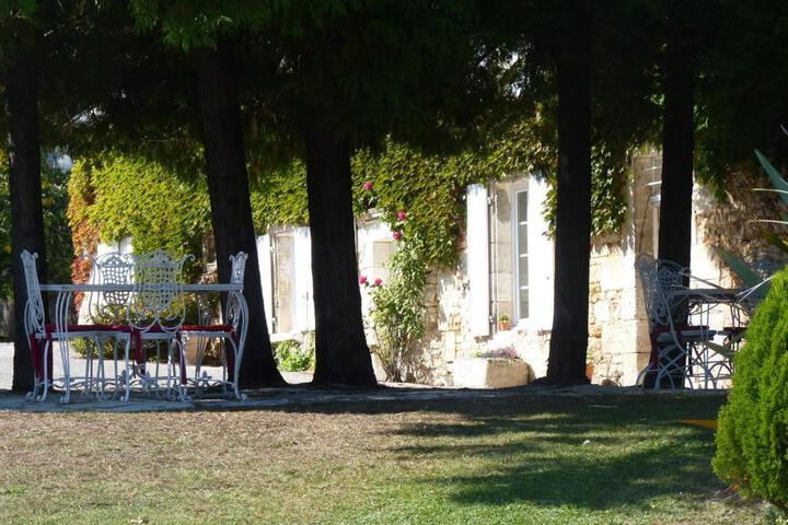Photo 20