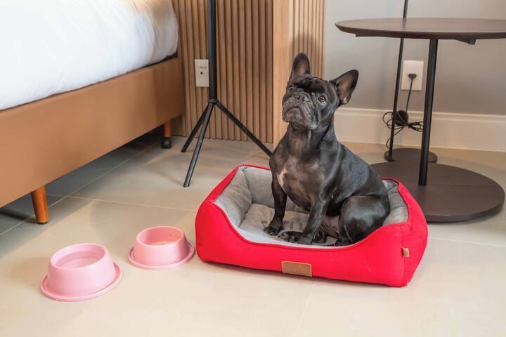 Pet Friendly 80 of 131