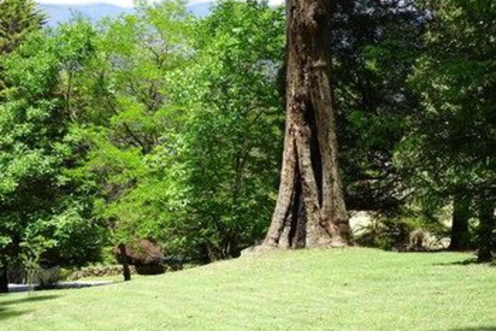 Property Grounds 30 of 36