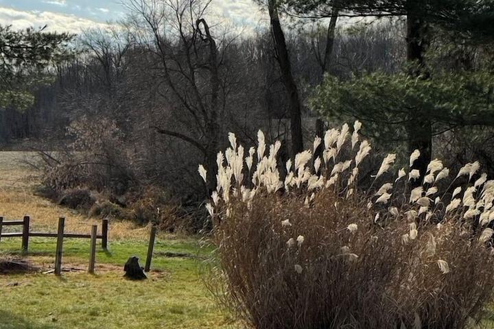 Property Grounds 20 of 35