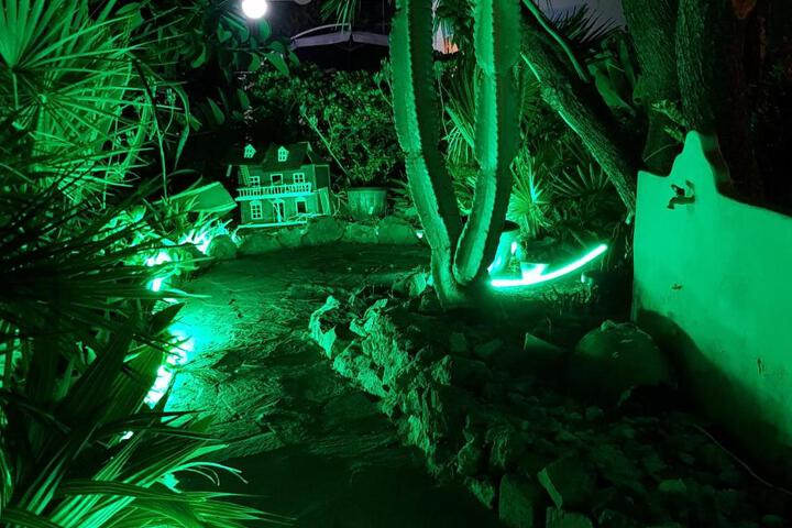 General 15 of 55
