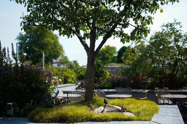 Terrace/Patio 75 of 85