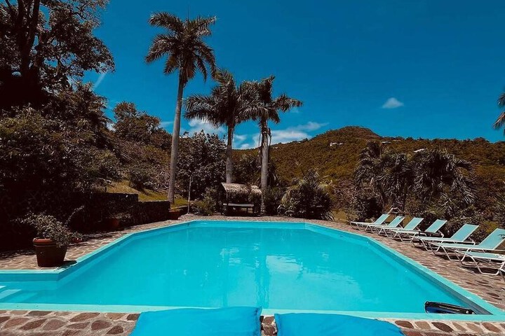 Pool 45 of 157
