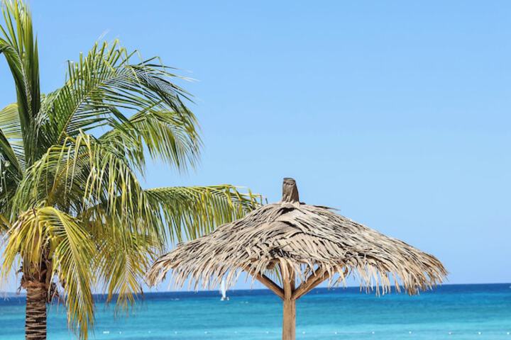 Beach 137 of 184