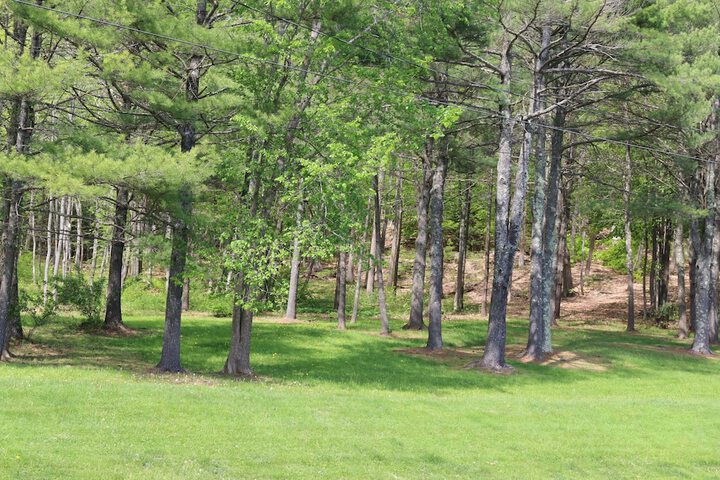 Property Grounds 25 of 33