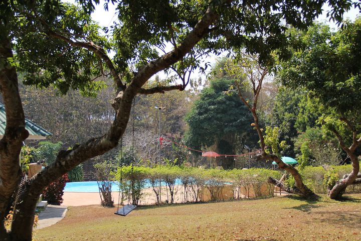 Pool 19 of 44
