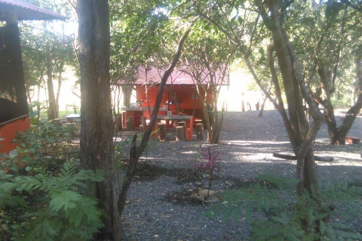 Property Grounds 11 of 16