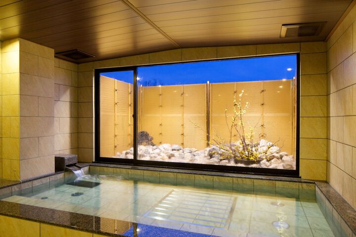 Wellness Treatments
