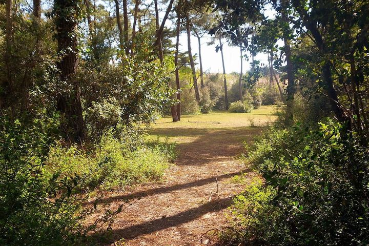 Hiking