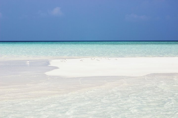 Beach 37 of 40