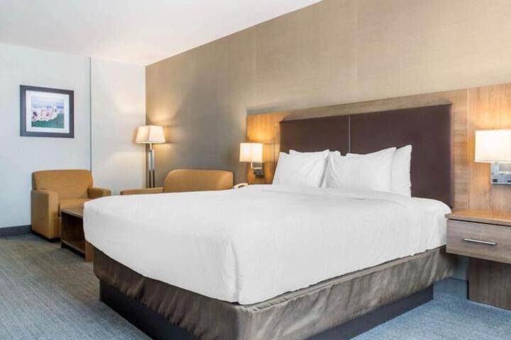 1 King Bed (6 of 13)