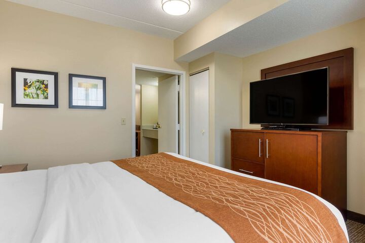 1 King Bed (8 of 14)