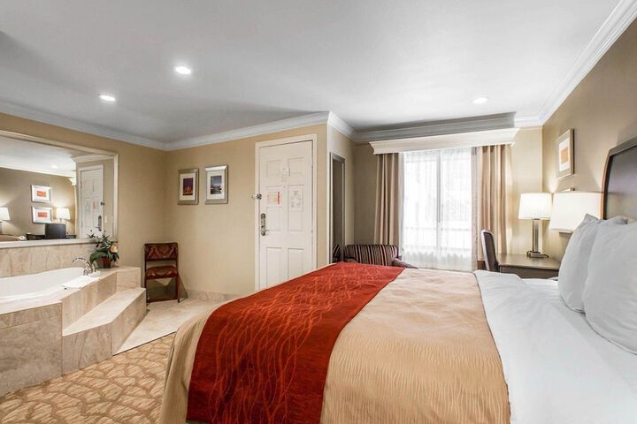 1 King Bed (9 of 12)