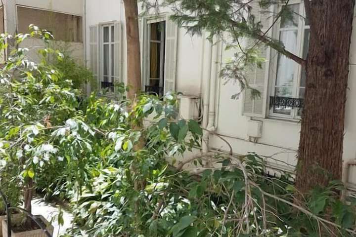Property Grounds 36 of 41